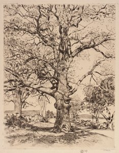 Wayside Inn Oaks in Spring by Childe Hassam