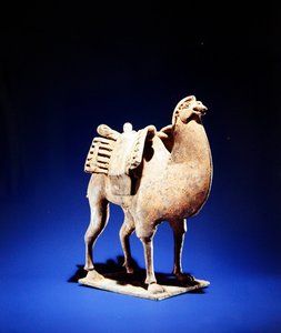 Camel, Mid to Late 6th Century, Northern Wei-Northern Qi Dynasty by Chinese School