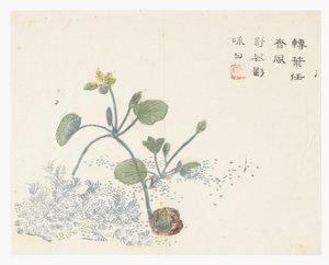 Mustard Seed Garden by Chinese School