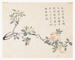 Mustard Seed Garden by Chinese School