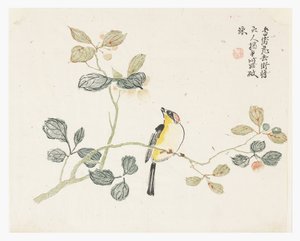 Mustard Seed Garden by Chinese School