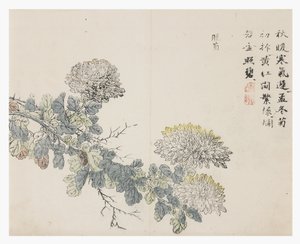 Mustard Seed Garden by Chinese School
