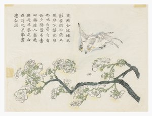 Mustard Seed Garden by Chinese School