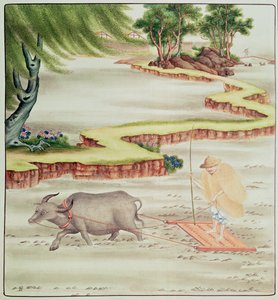 Peasant working in the paddy fields by Chinese School