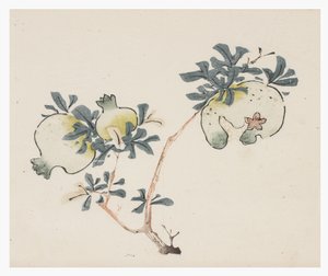 Ten Bamboo Series, 18th century by Chinese School