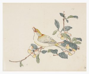 Ten Bamboo Series, 18th century
