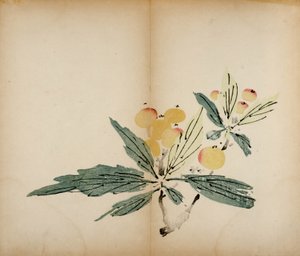 Ten Bamboo Studio Prints by Chinese School