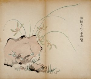 Ten Bamboo Studio Prints by Chinese School