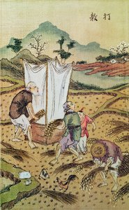 The Story of Rice by Chinese School