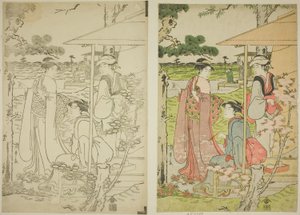 Viewing Cherry Blossoms from a Teahouse on Asuka Hill by Chobunsai Eishi