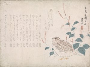 Quail by Chokko Roshû