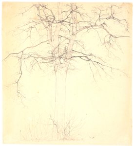 Linden Tree by the Path of Love by Christen Købke