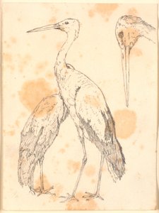 Storks by Christen Købke