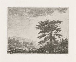 Tree in a Heath Landscape by Christiaan Wilhelmus Moorrees