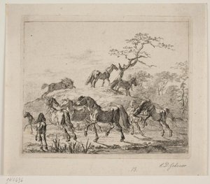 Stud Farm Horses