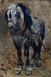 Horse from Normandie
