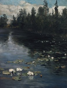 Water lilies