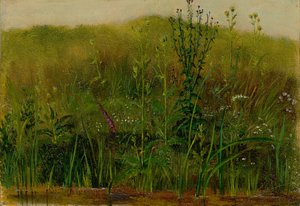 Plants on the Bank