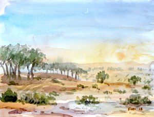 Rak Desert