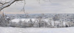 White Diamonds Richmond Hill Snow, 2015 by Christian Furr