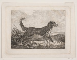 A Dog by Christian Holm