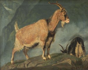 Goats in the Alps by Christian Holm