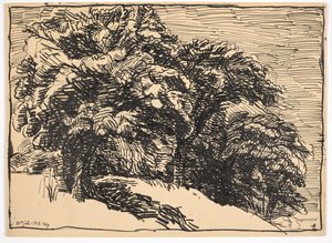 Oak Trees on a Bank