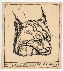 Sleeping Lynx