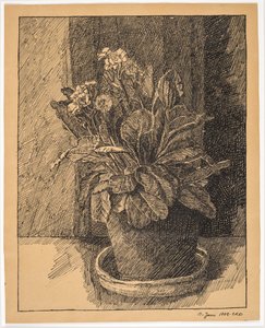 Flowerpot with Primula
