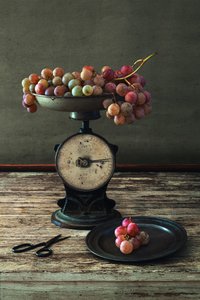 Rustic Grapes on Scale