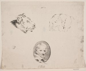 Sample Sheet with Man