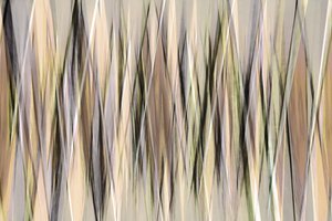 Abstract Earthy Lines