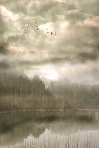 Birds Over Misty Lake by Christina Sillen