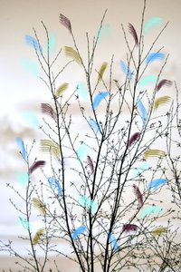 Colorful Abstract Branches by Christina Sillen
