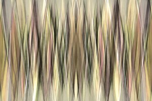 Earthy Abstract Lines by Christina Sillen