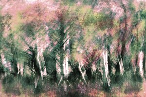 Ethereal Forest Dream by Christina Sillen