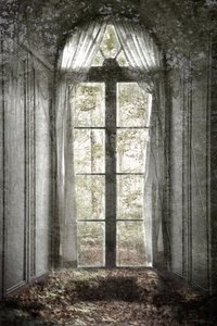Forgotten Forest Window by Christina Sillen