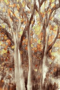 Golden Autumn Forest by Christina Sillen