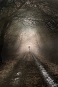 Lone Figure Misty Path by Christina Sillen