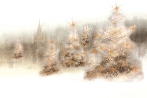 Magical Winter Trees