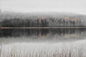 Misty Autumn Lake