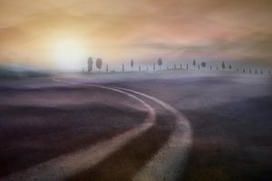 Misty Country Road