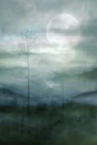 Misty Moonlit Forest by Christina Sillen