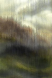 Misty Mountain Forest by Christina Sillen