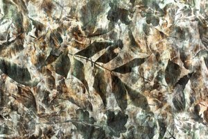 Natural Leaf Pattern