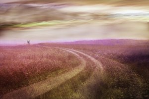 Romantic Field Path