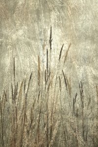 Rustic Tall Grasses