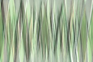 Serene Green Blades by Christina Sillen