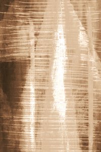 Shimmering Abstract Lines by Christina Sillen