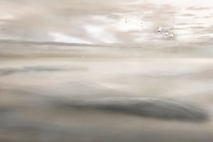Swan Song To The Mist by Christina Sillen